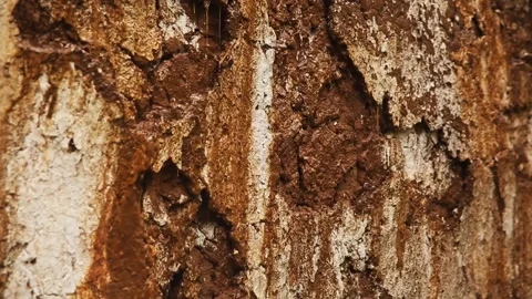 Jets of water run down a rusty muddy wall when it rains. Stock Footage 271184330