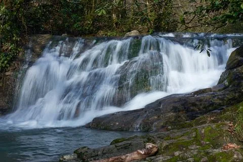 The jets of the waterfall flow into a mountain river. Stock Photos