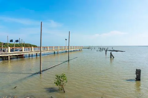 Jetty and dead tree under the blue skies Foto stock
