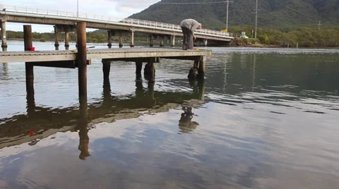 Jetty fishing Stock Footage 40752464