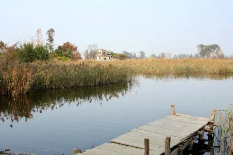 Jetty on a lake Stock Photos