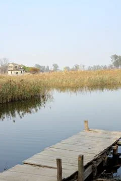 Jetty on a lake Foto stock