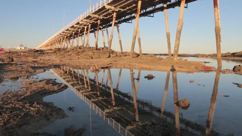 Jetty/Pier at Sunset 스톡 동영상 111719354