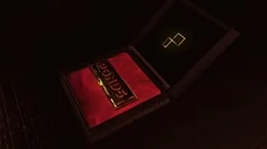 Jewelry Box Logo Stock After Effects