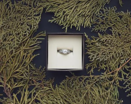 In the jewelry box there is a ring with a frame from cypress branches on a be Stock Photos