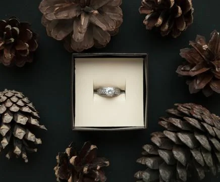 In the jewelry box there is a ring with a frame from juniper branches on a Stock Photos