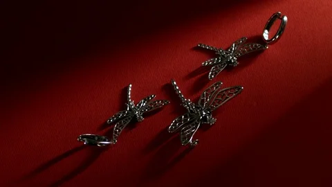 Jewelry dragonfly on a red background Stock Footage 86574392