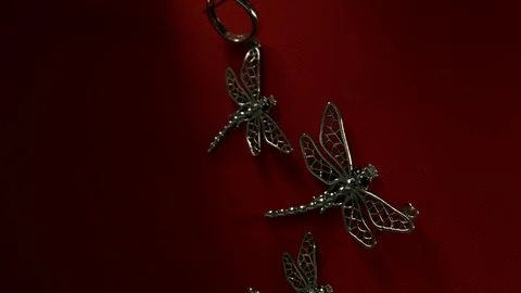 Jewelry dragonfly on a red background Stock Footage 86574451