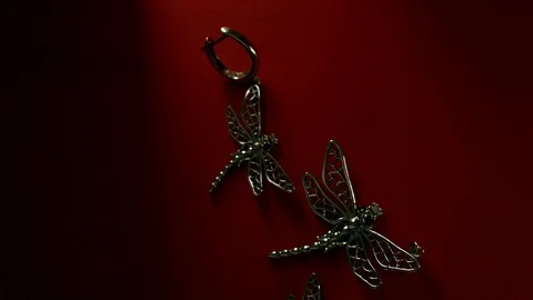 Jewelry dragonfly on a red background Stock Footage 86574481