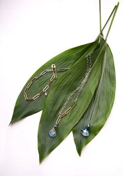 Jewelry over leaves Stock Photos