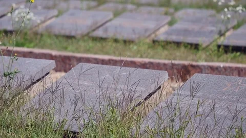 Jewish cemetery in Ukraine. Stock Footage