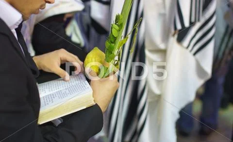 Jewish Sunrise Prayers at the Western Wall, Israel Stock Photos