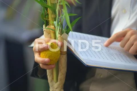 Jewish Sunrise Prayers at the Western Wall, Israel Stock Photos