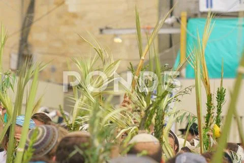Jewish Sunrise Prayers at the Western Wall, Israel Stock Photos