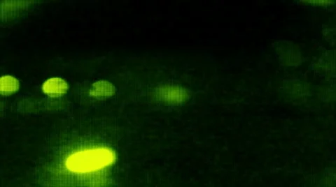 JHD - eMD - CamBlur OnScreen - green Video stock 1041594