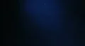 jHD - eMD - Particle on Blue Loop 00043 HD 동영상