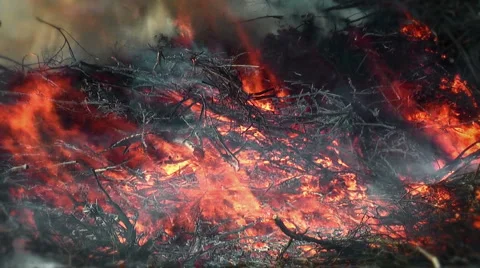 JHD - Fire - Big Flames 00020 Video stock 1041114