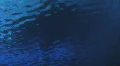 jHD - Water - Underwater Caustics + Particles 00069 HD 동영상