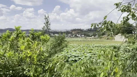 Jianshui Countryside Stock Footage 244048209