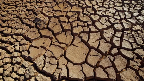 Jib down shot of dried ground in the savanna Stock Footage 278936457