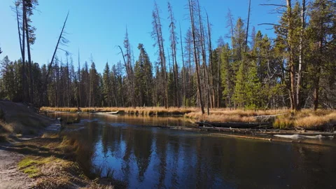 Jib Gibbon River in Yellowstone on Fall Morning Stock Footage 320031406