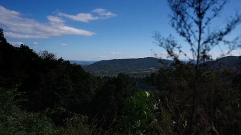 Jib Up Mountains in Distance from Behind Trees Stock Footage 96721974