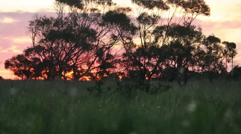 Jib Outback Timelapse Video stock 58667604