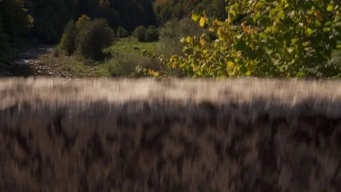 Jib shot of river. Nature background Stock Footage 80675215