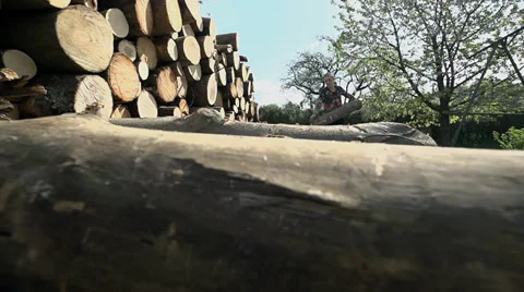Jib shot of throwing log on pile in slow motion Stock Footage 39457446