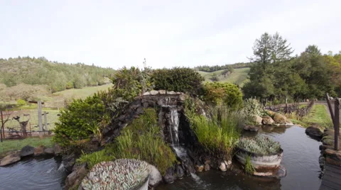 Jib shot of vineyard 03 Stock Footage 53211900