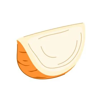 Jicama root slice nutritious tropical vegetable food Stock Illustration