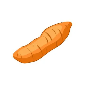 Jicama root vegetable isolated on white background Stock Illustration