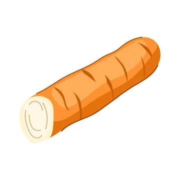Jicama root vegetable showing raw texture Stock Illustration