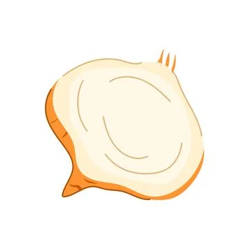 Jicama root vegetable showing white flesh and brown skin Stock Illustration