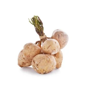 Jicamas on white Stock Photos