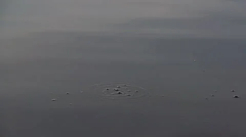 Jig Head Falling In The Water. Slow Motion Stock Footage 54898473