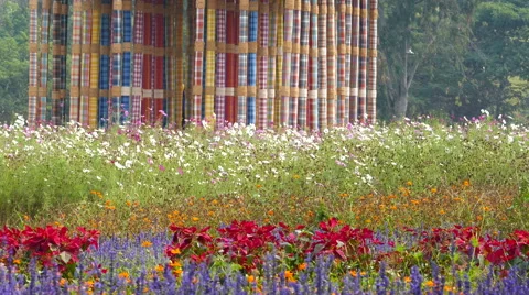 Jim Thompson Flowers Video stock 60209533