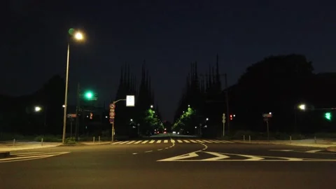 Jingu Gaien Stock Footage 148201557