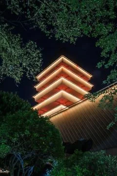 Jinhea Tower at Night Photos