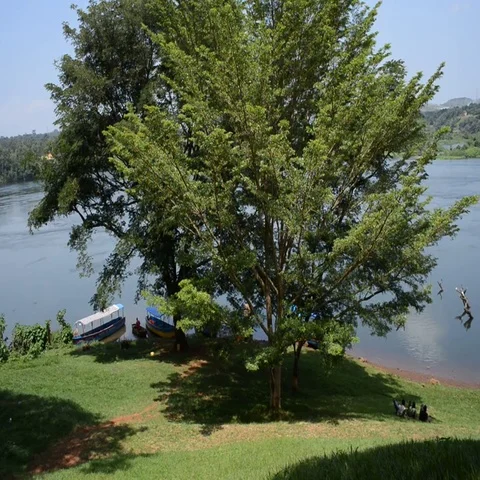 Jinja Nile River Stock Footage 69518936