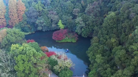 Jiuxi scenic area in autumn, Hangzhou Stock Footage 258009847