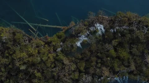 Jiuzhaigou Cascading Waterfall Top Down 4K | Fallen Trees in Water Stock-Footage 325350118