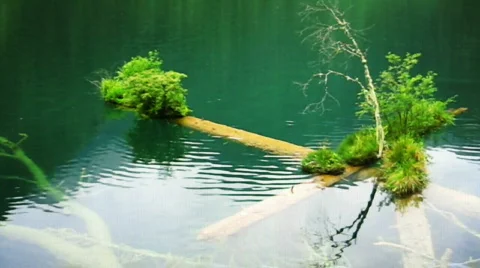 Jiuzhaigou 動画素材 766911