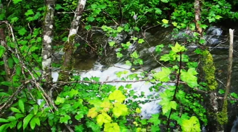 Jiuzhaigou Stock Footage 766925