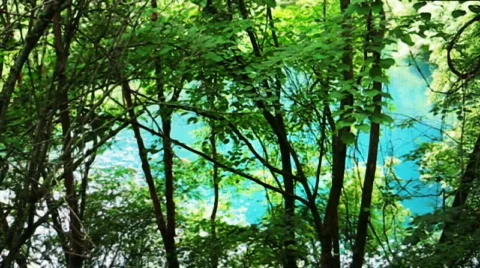 Jiuzhaigou 動画素材 766941