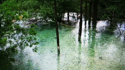 Jiuzhaigou Stock Footage 766962