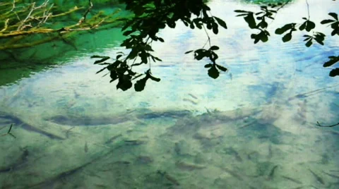 Jiuzhaigou Stock Footage 766977