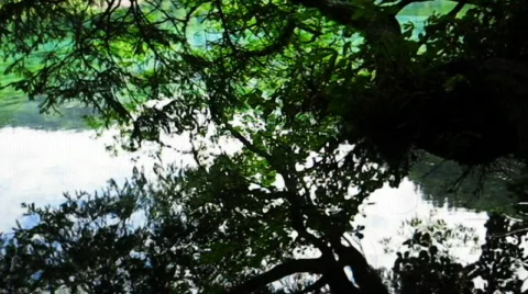 Jiuzhaigou 動画素材 766980