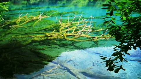 Jiuzhaigou 動画素材 766990