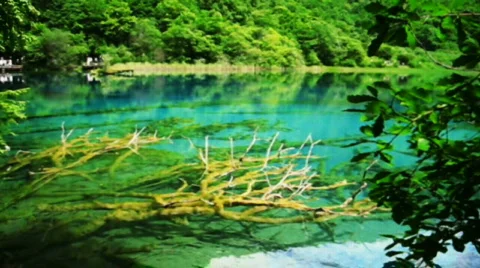 Jiuzhaigou Stock Footage 766993